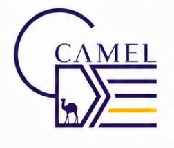 Camel Delivery Services LLC